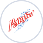 Peñafiel logo