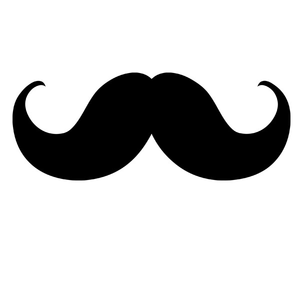 Movember v Česku