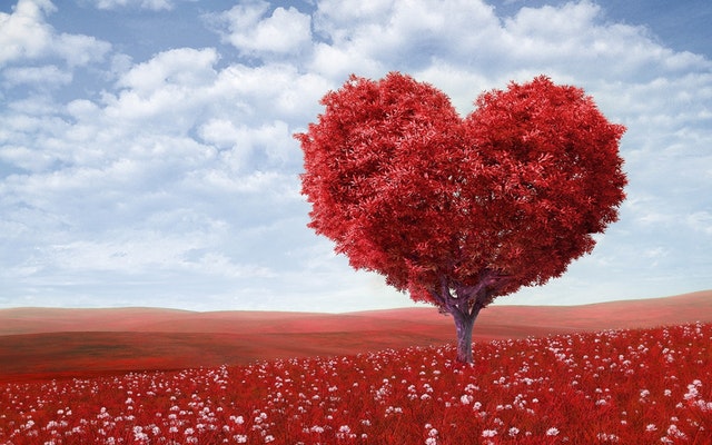 The Love of Social Listening – Szerelemtérkép Instagramról